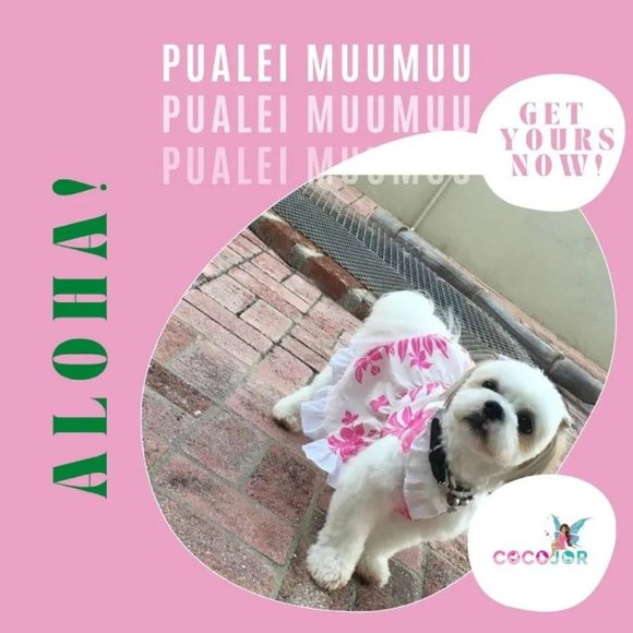 Pualei Muumuu Beautiful Hawaiian Dog Dress - Picture 1 of 7
